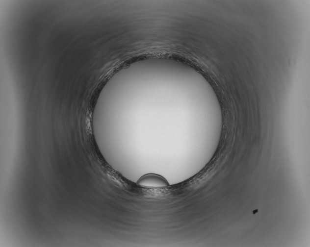 X0000116450432200912081418