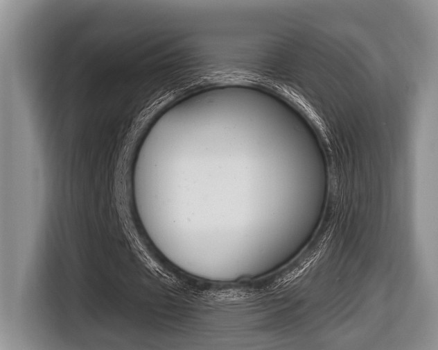 X0000116450433200912081417