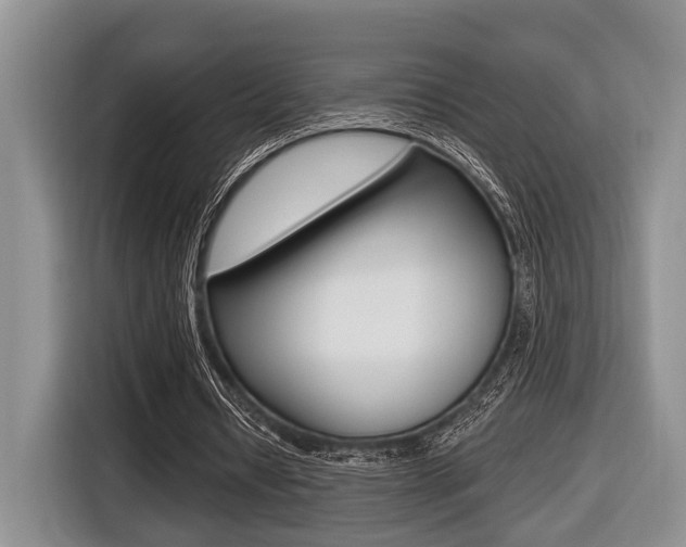 X0000116450434200912081417