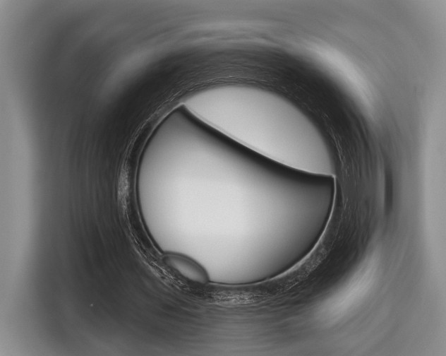 X0000116450435200912081417