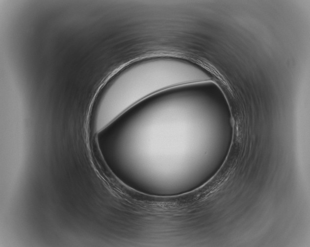 X0000116450436200912081417