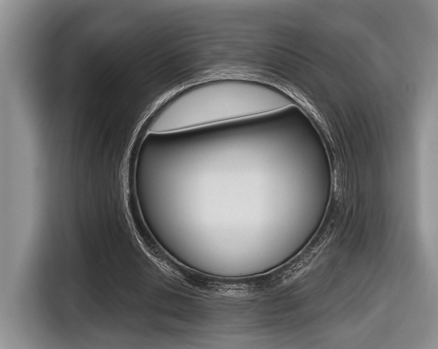 X0000116450438200912081417