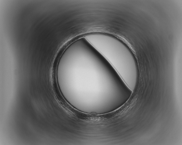 X0000116450439200912081417