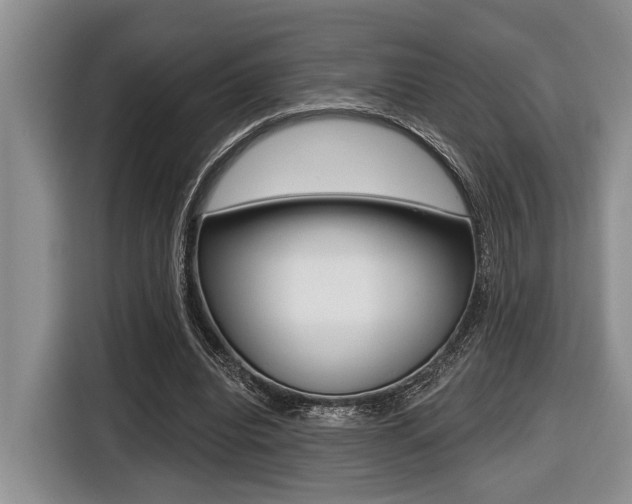 X0000116450440200912081417