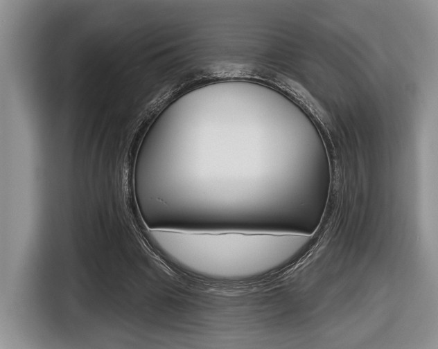 X0000116450441200912081417