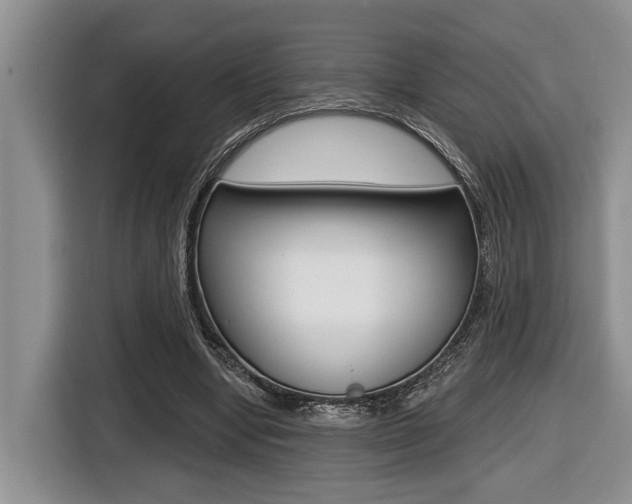 X0000116450442200912081417