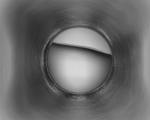 X0000116450443200912081417