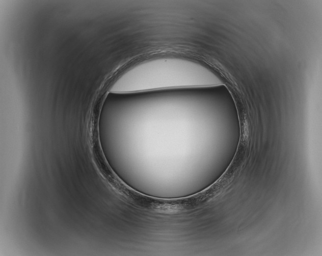 X0000116450444200912081417