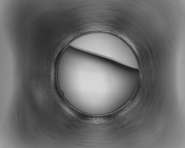 X0000116450445200912081417