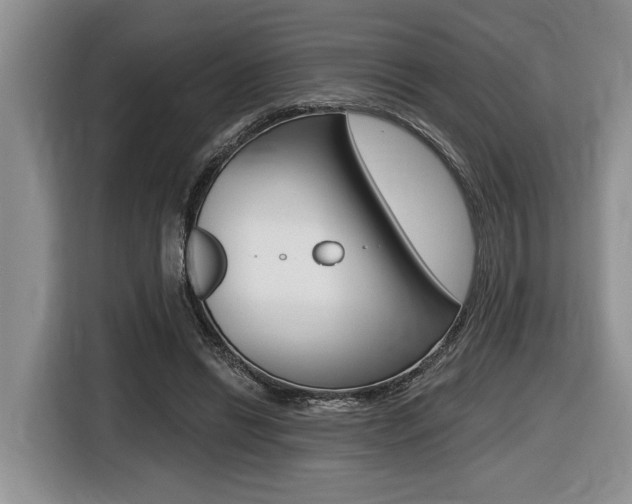 X0000116450446200912081417