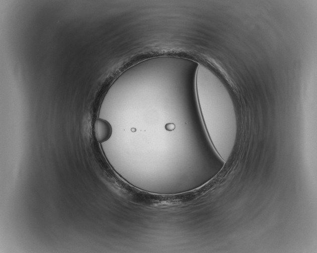 X0000116450447200912081417
