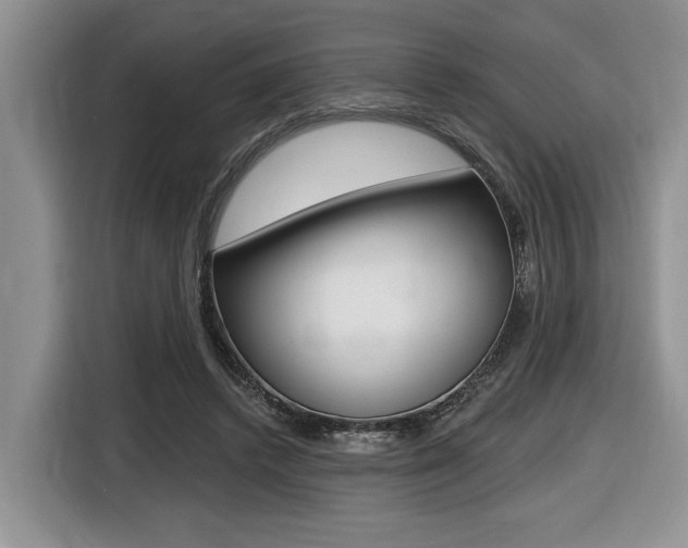 X0000116450448200912081417