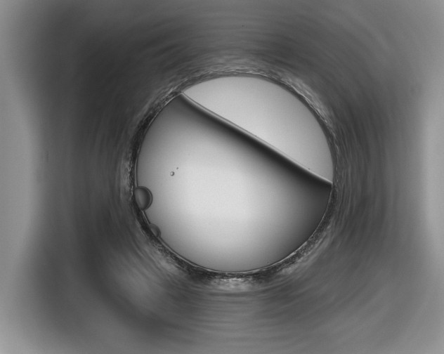 X0000116450449200912081417