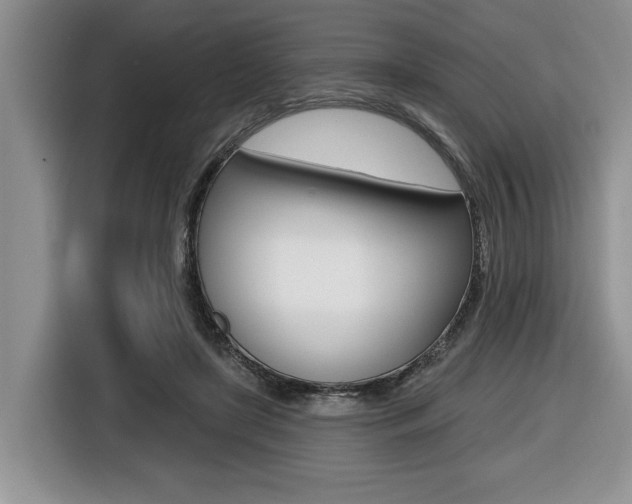 X0000116450451200912081417