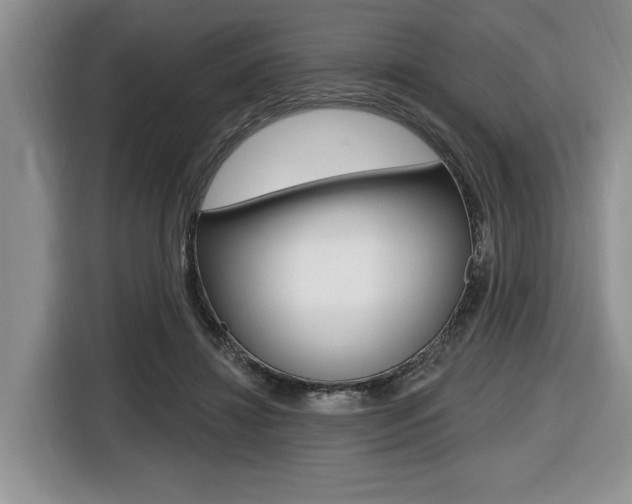 X0000116450452200912081417