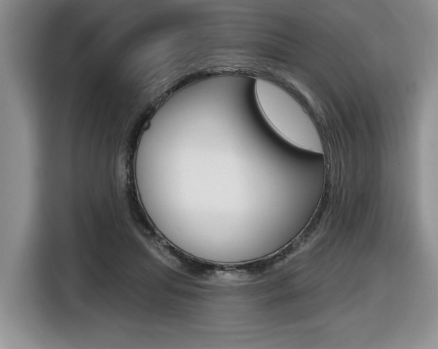 X0000116450455200912081417