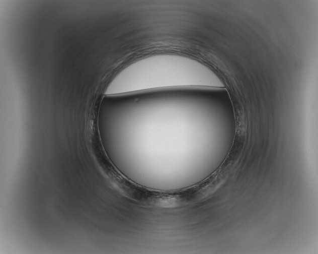 X0000116450456200912081417