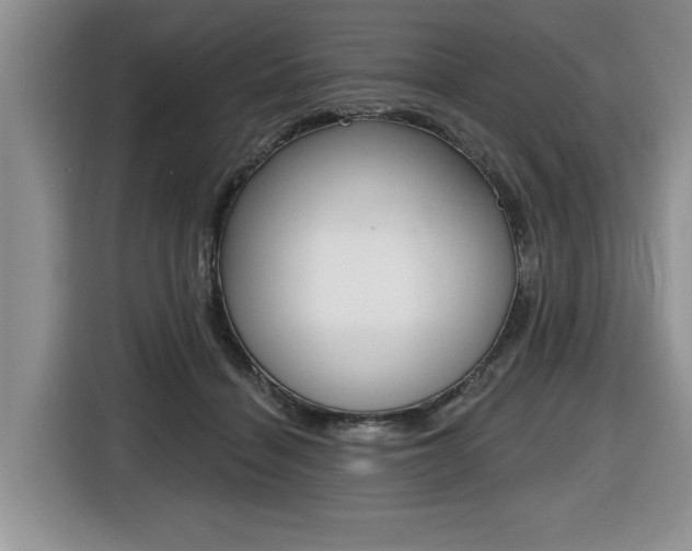 X0000116450460200912081417