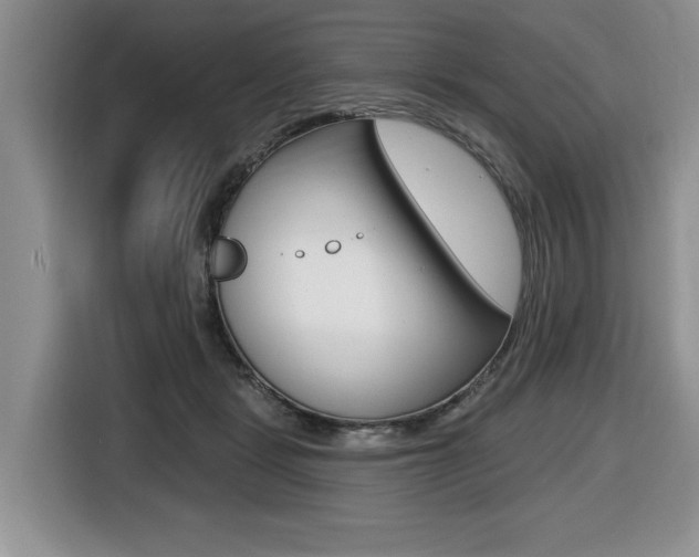 X0000116450461200912081417