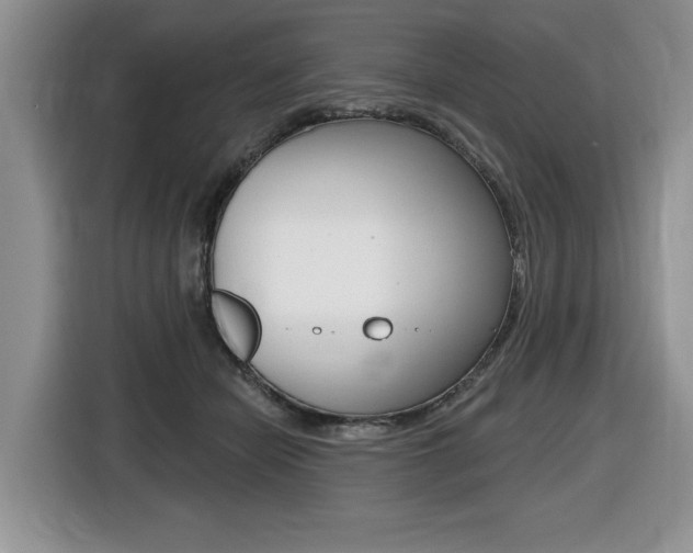 X0000116450462200912081417