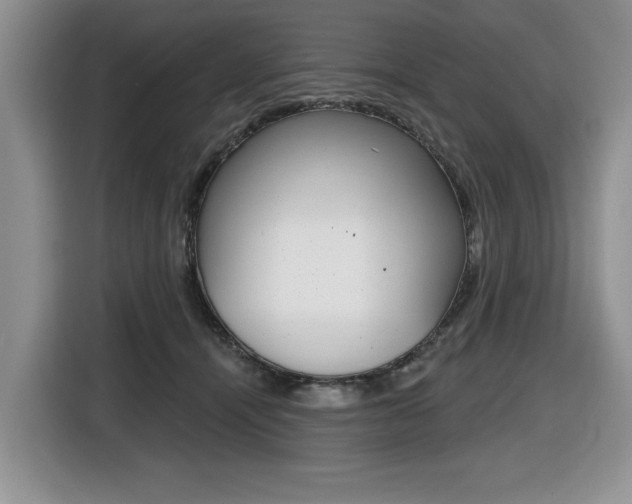 X0000116450464200912081417