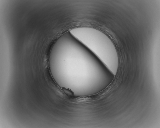 X0000116450465200912081417