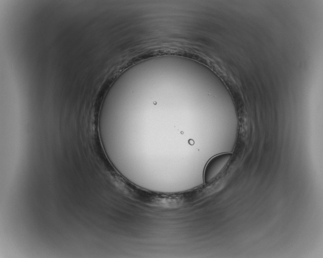 X0000116450466200912081417