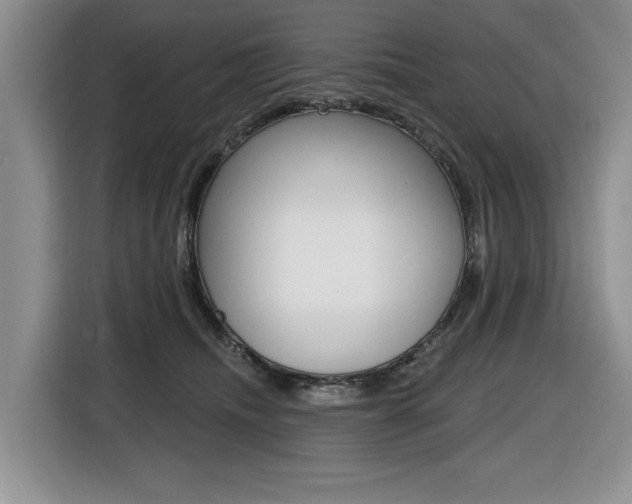X0000116450468200912081417