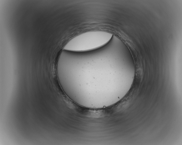 X0000116450469200912081417