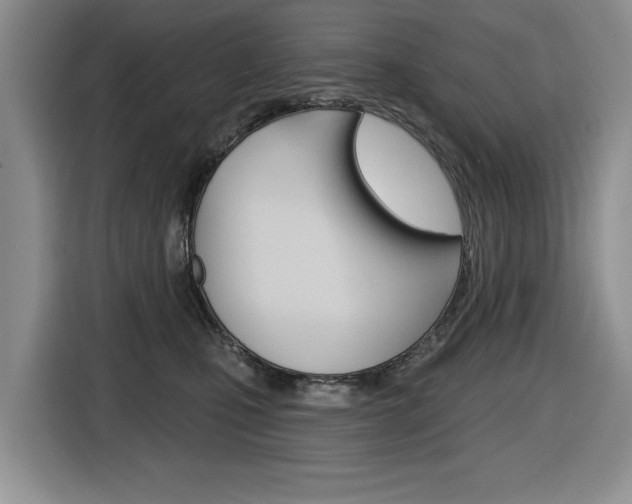 X0000116450471200912081417
