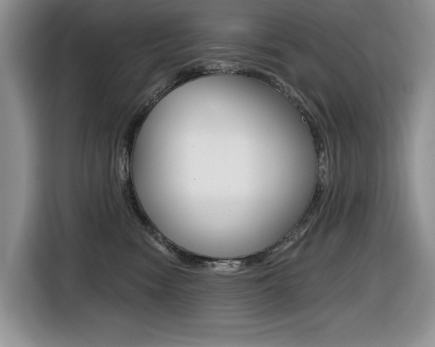 X0000116450474200912081418
