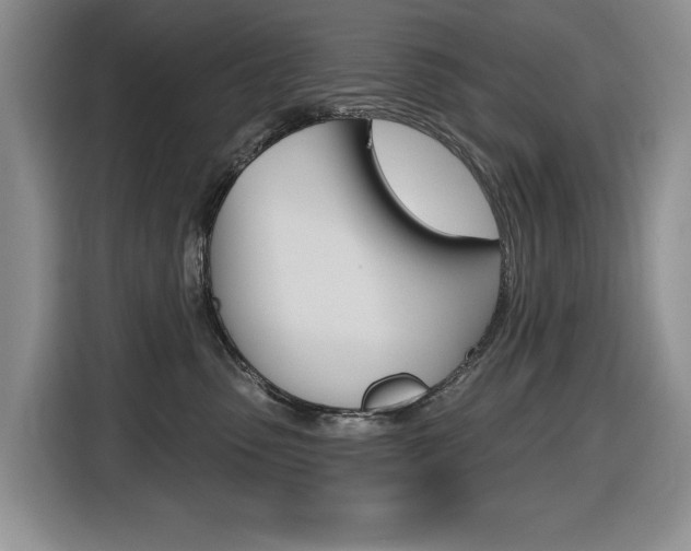 X0000116450475200912081418