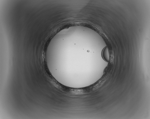 X0000116450476200912081418