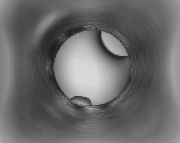 X0000116450477200912081418