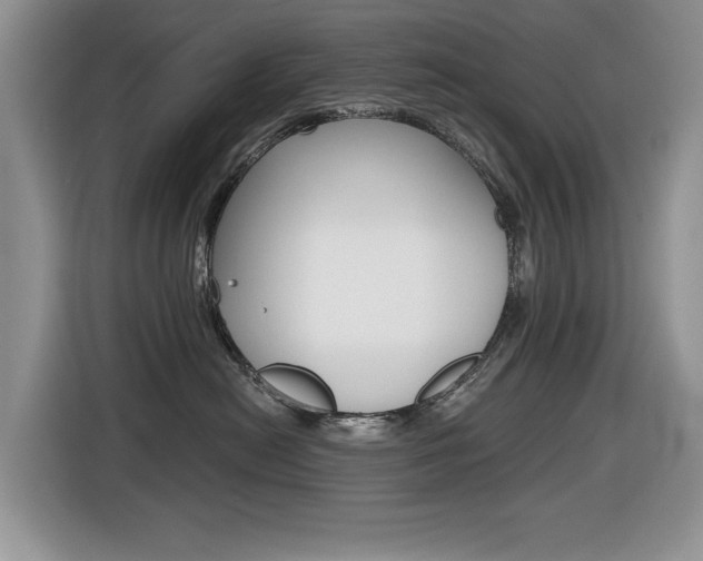 X0000116450478200912081418
