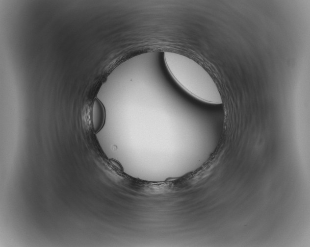 X0000116450479200912081418