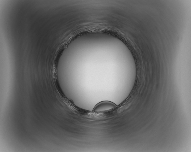 X0000116450480200912081418