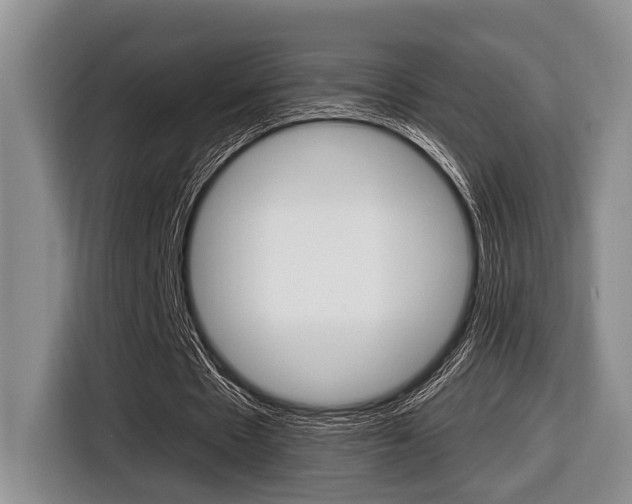 X0000116450481200912081417