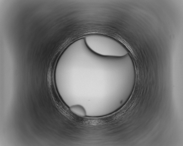 X0000116450482200912081417