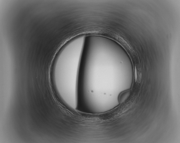 X0000116450483200912081417