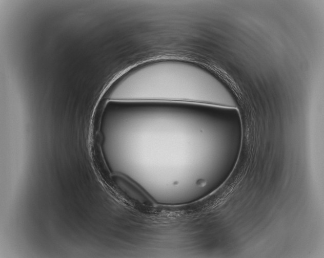 X0000116450484200912081417