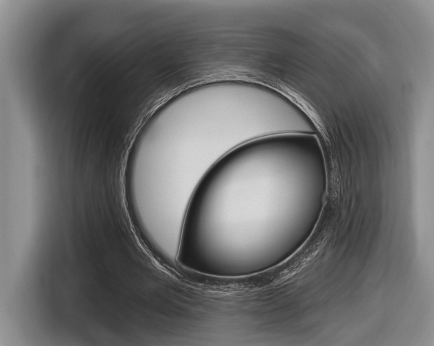 X0000116450485200912081417