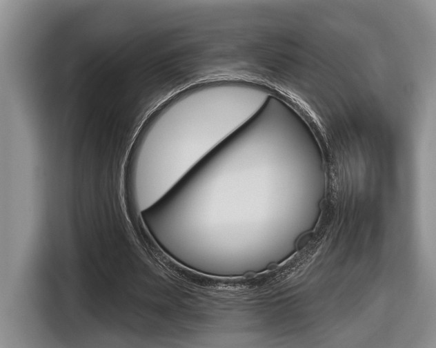 X0000116450487200912081417