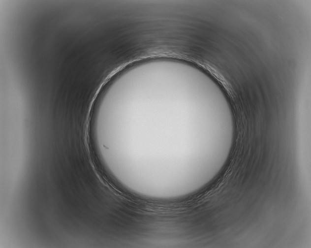 X0000116450488200912081417