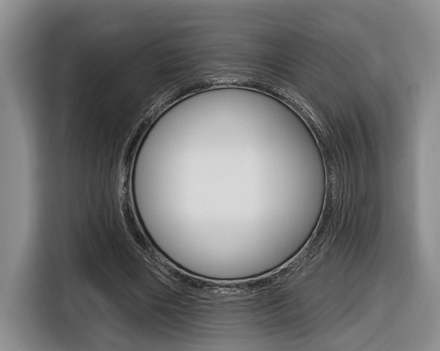 X0000116450490200912081417
