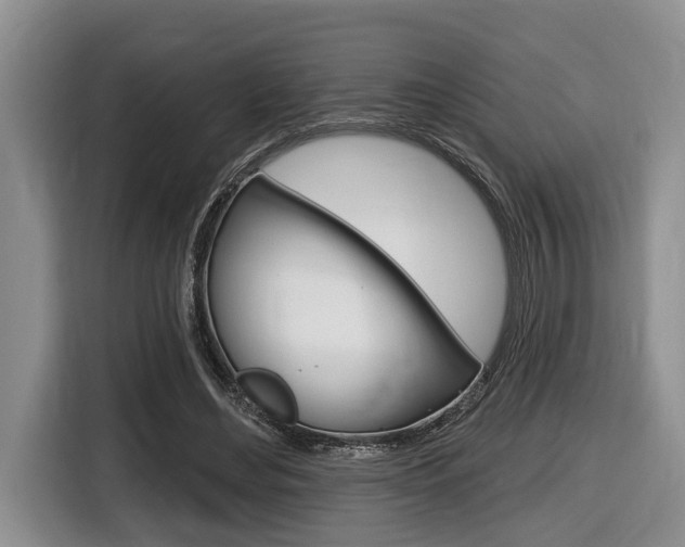 X0000116450492200912081417