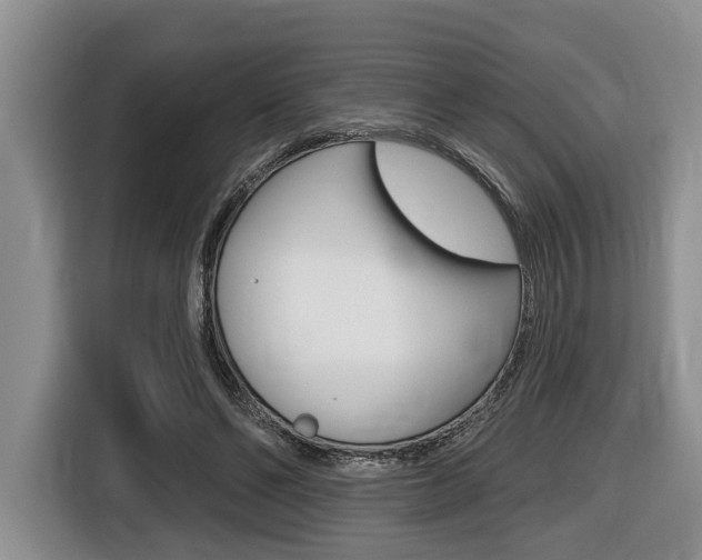 X0000116450494200912081417