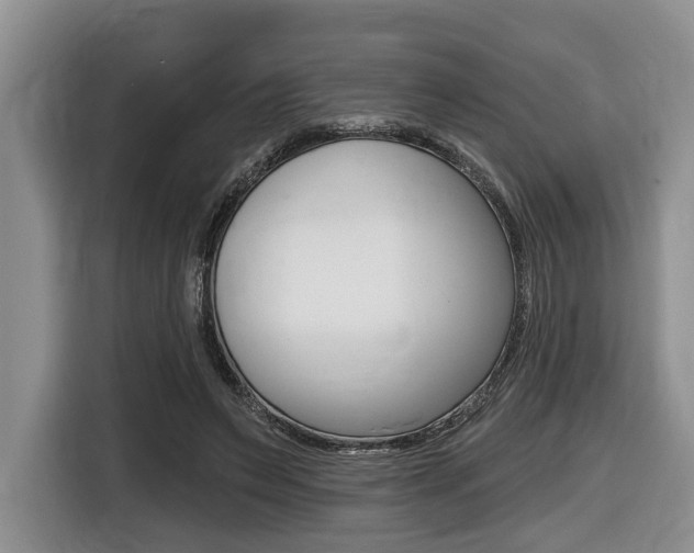 X0000116450495200912081417
