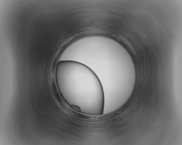 X0000116450496200912081417