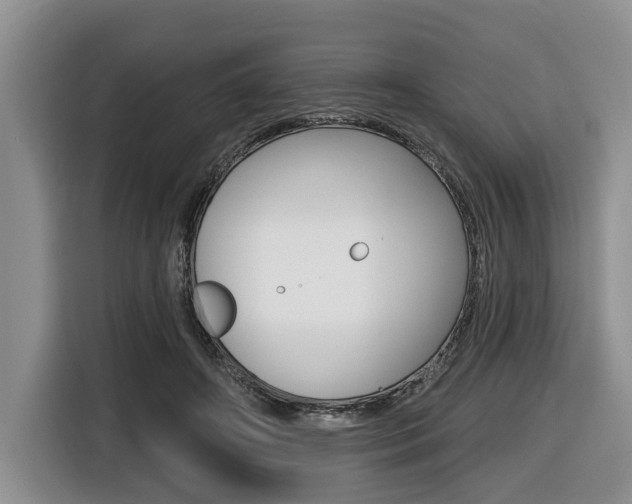 X0000116450498200912081417